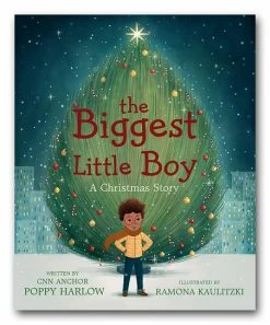 Wholesale ✔️ Penguin Random House The Biggest Little Boy: A 🎅 Christmas Story Hardcover 🌟