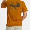 Best reviews of 🥰 Life Is Good® Coffee Brown Bison Landscape Tee - Men 😍