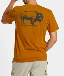 Best reviews of 🥰 Life Is Good® Coffee Brown Bison Landscape Tee - Men 😍